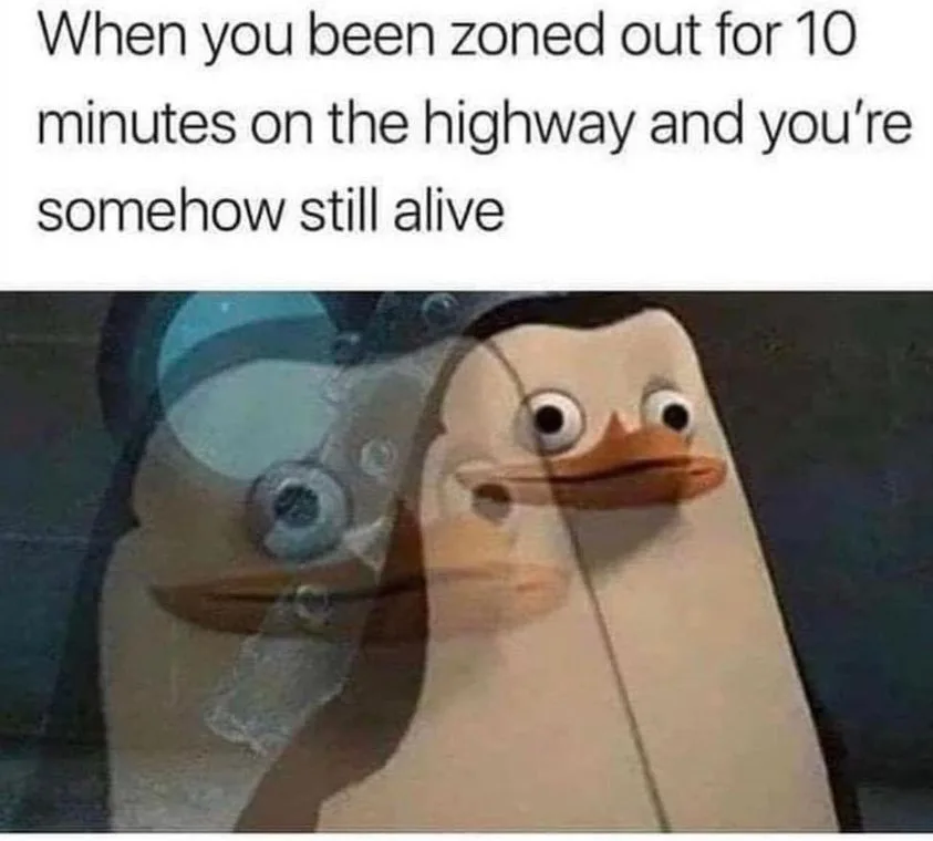driving meme