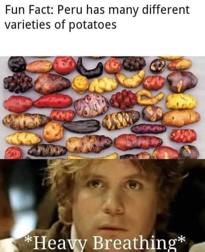 potato meme
