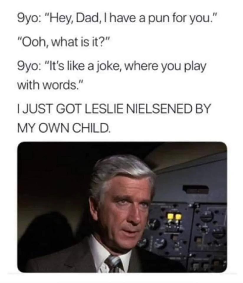 pun meme