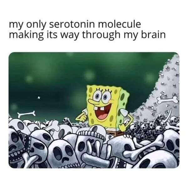 serotonin meme