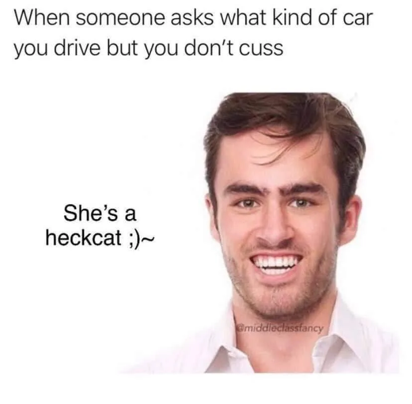 swearing meme