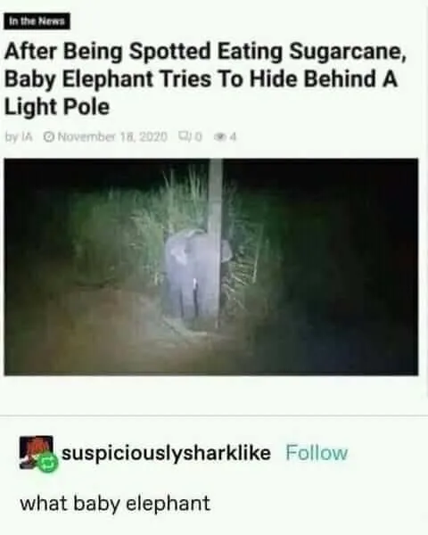 hiding meme