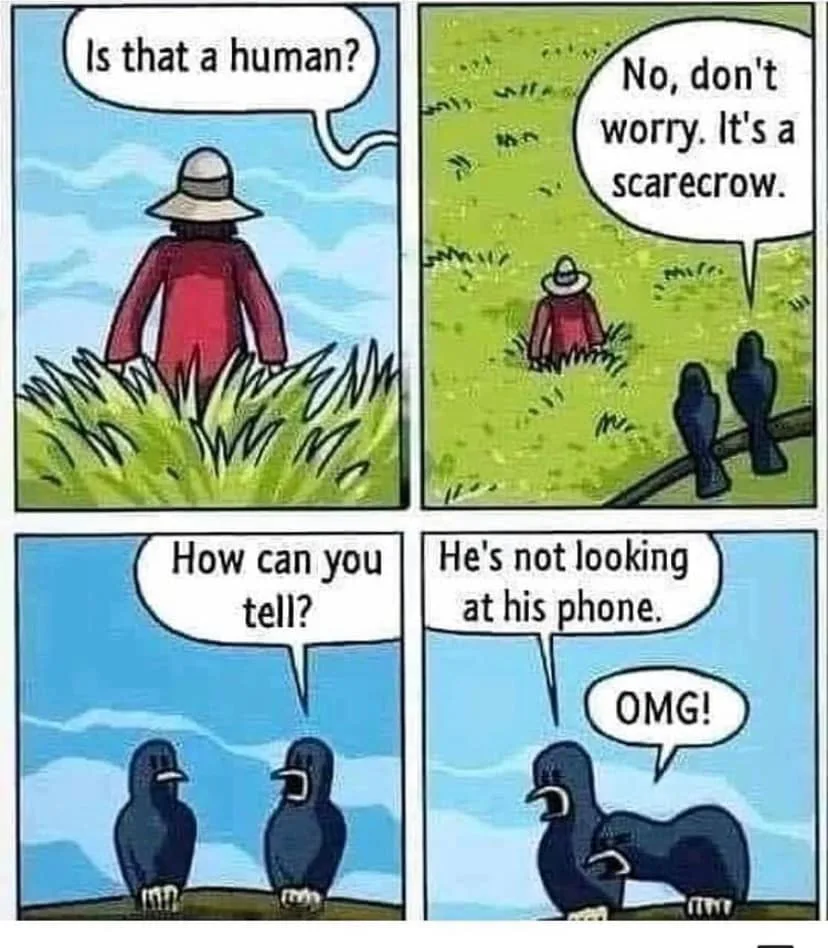 scarecrow meme