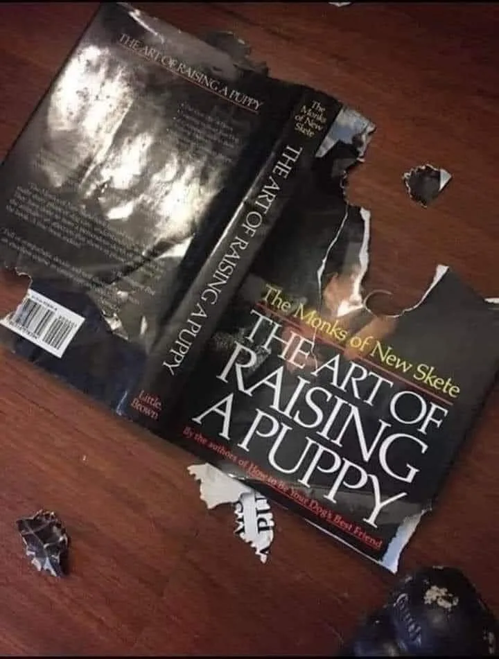 self-help meme