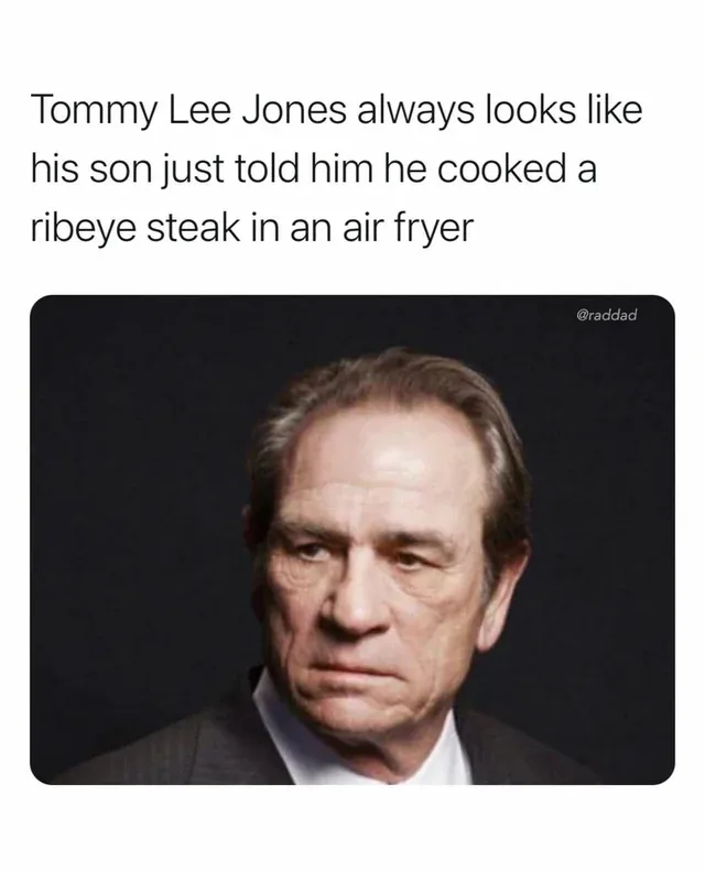 Tommy Lee Jones meme
