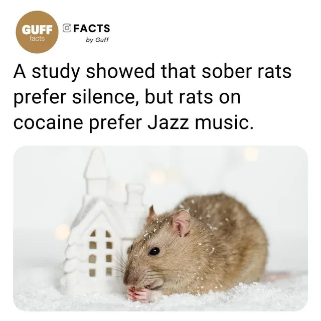 jazz meme