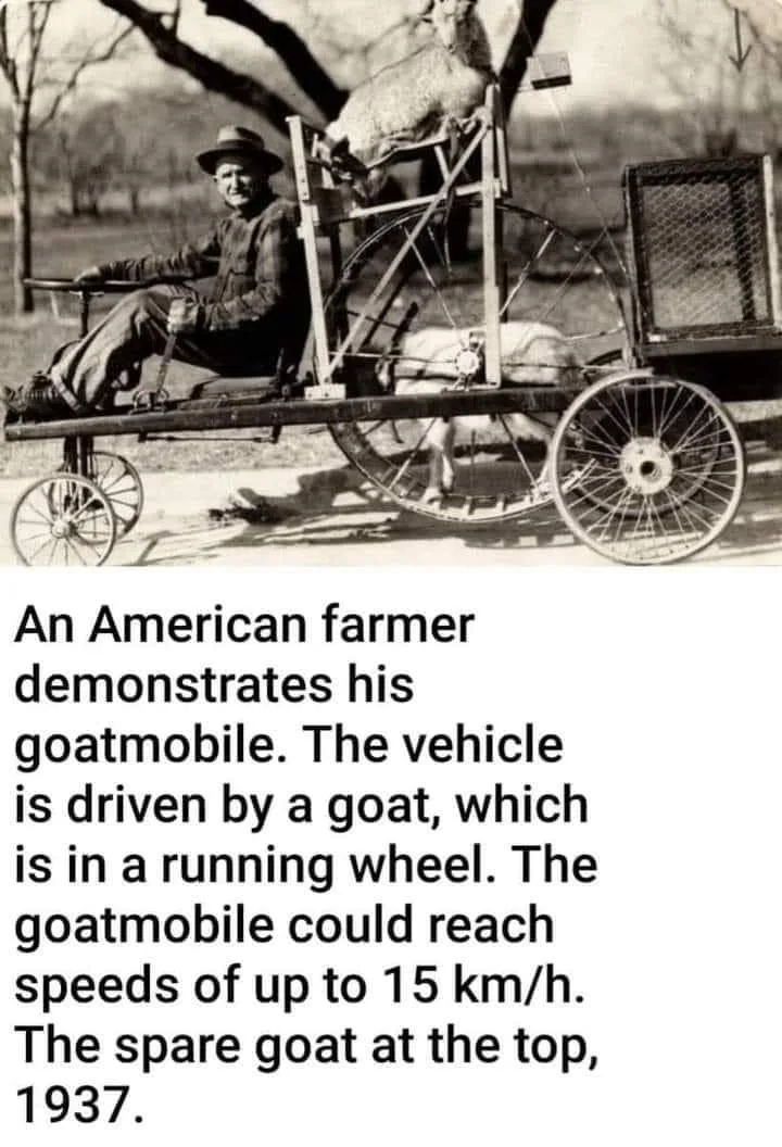 car meme