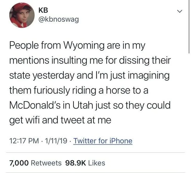 Wyoming meme