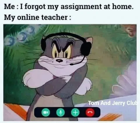 homework meme