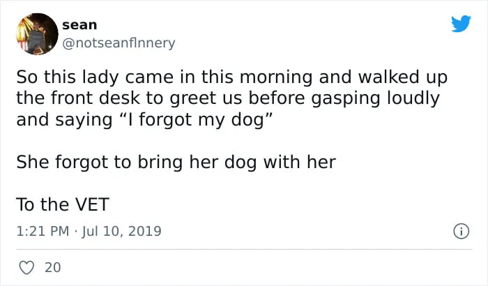 veterinarian meme