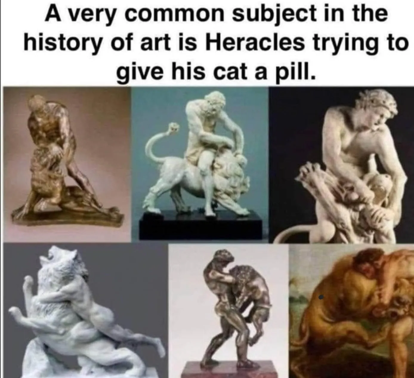 medicine meme