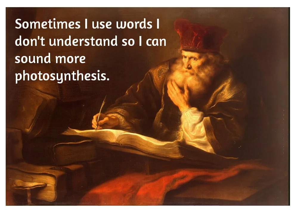 vocabulary meme