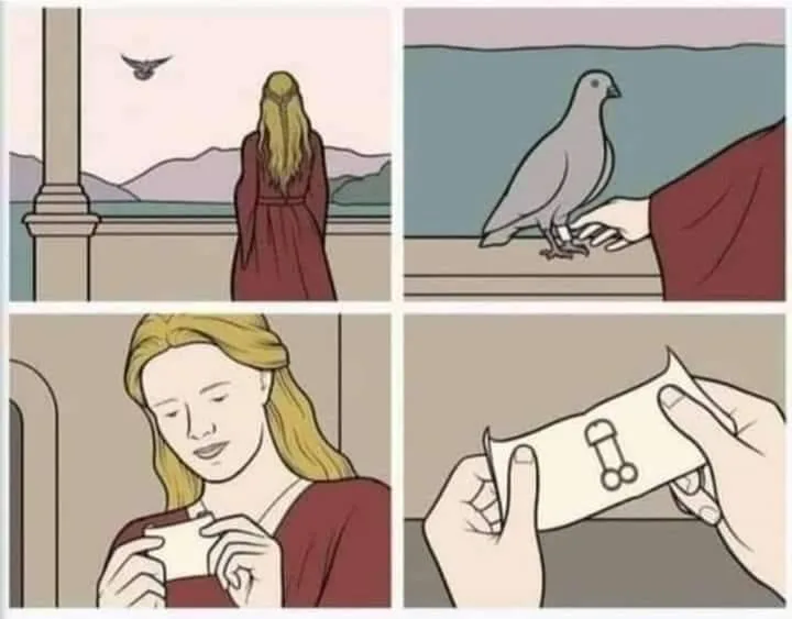carrier pigeon meme