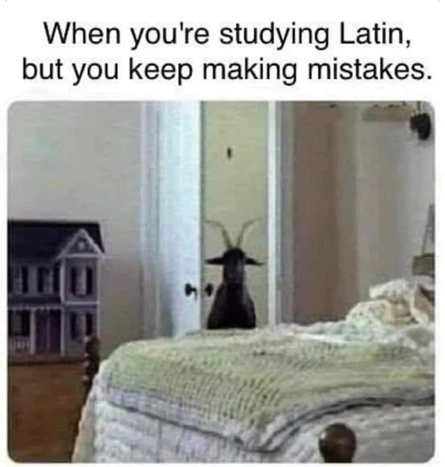 Latin meme