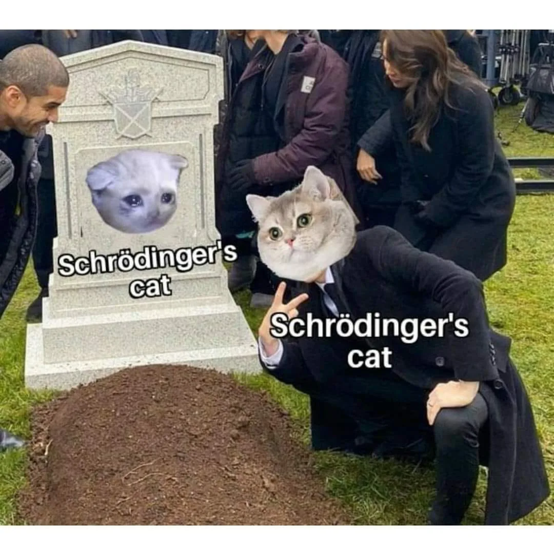 Schroedinger's cat meme