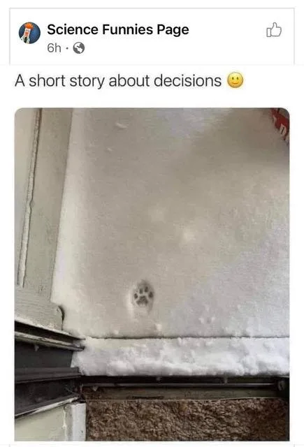 winter meme