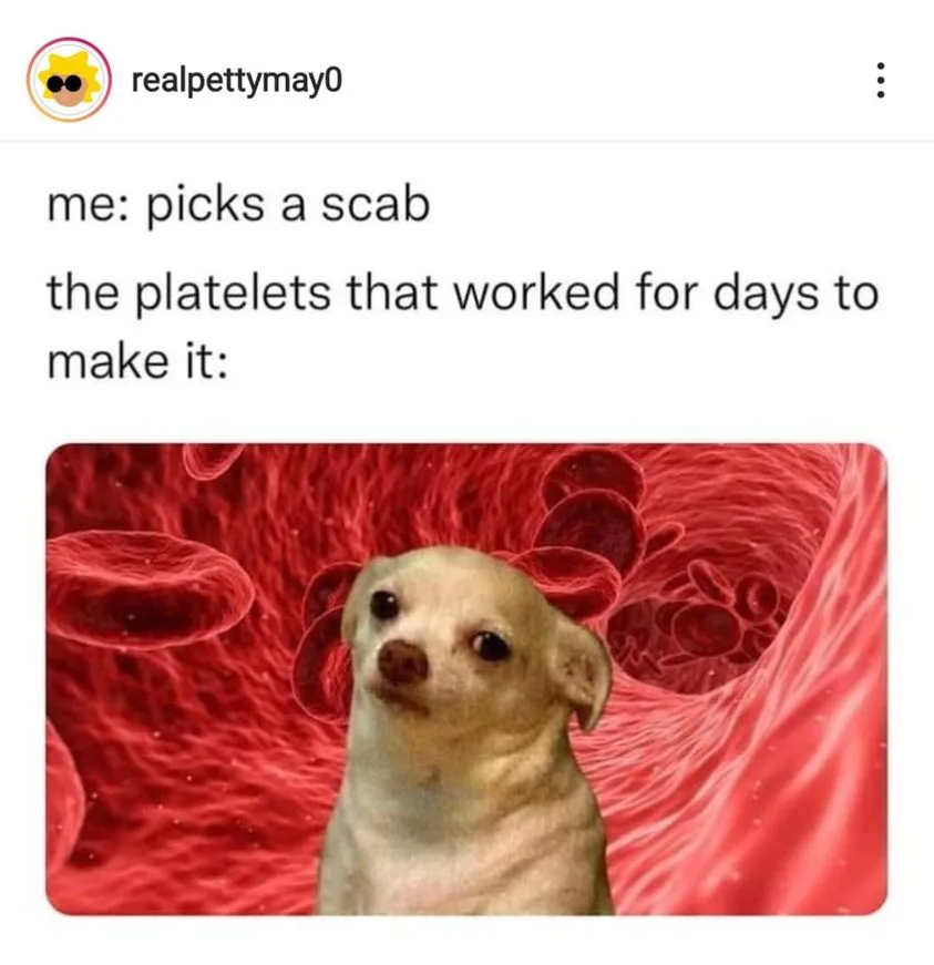 wound meme