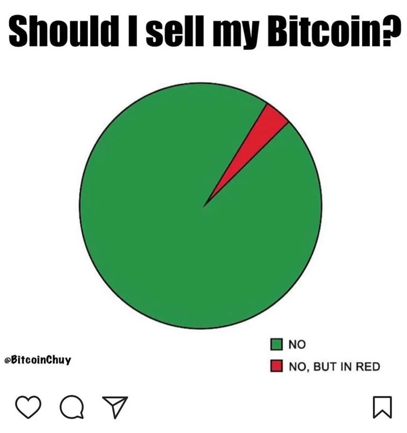 HODLing meme