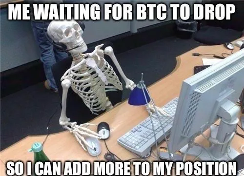 timing the market meme