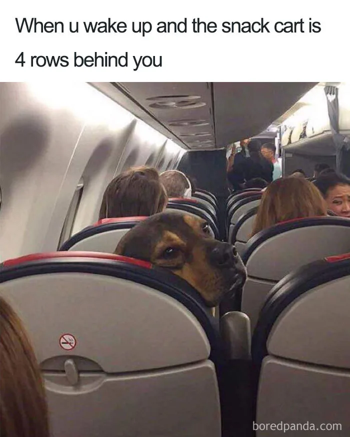 air travel meme