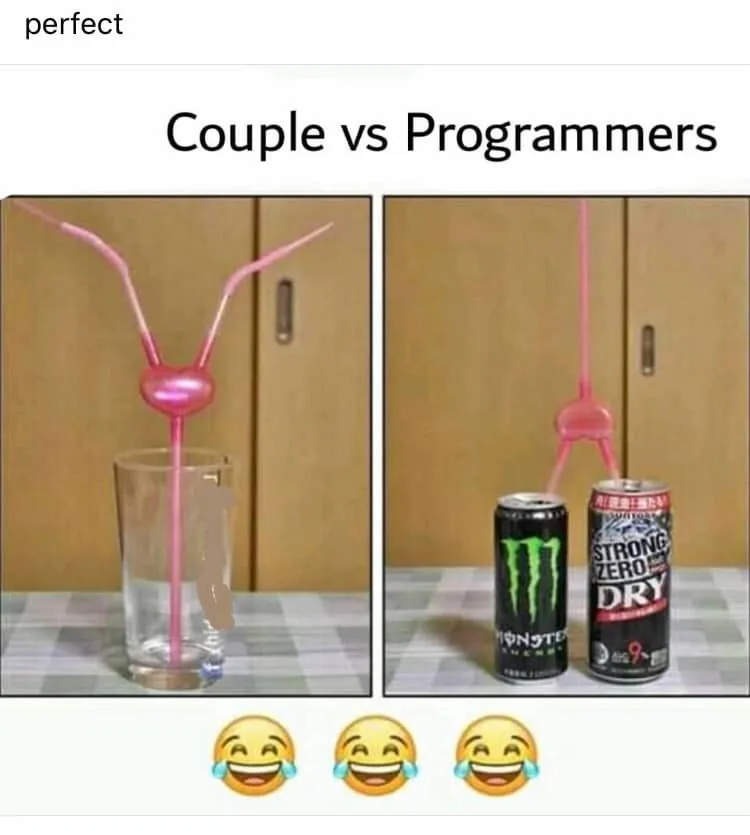 programmer meme