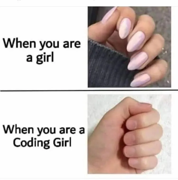 coding meme