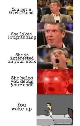 computer programming meme