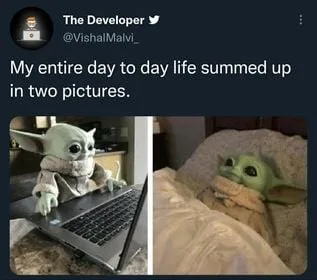 programming meme