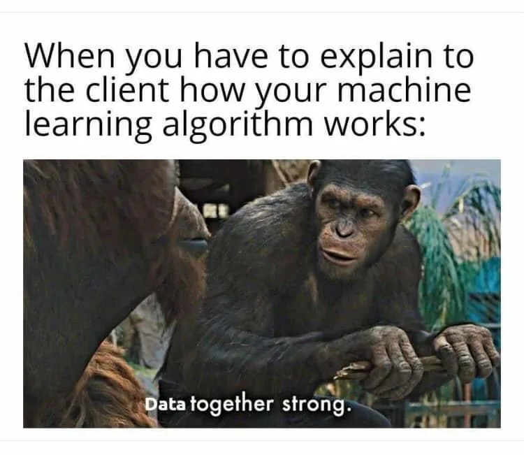 algorithm meme