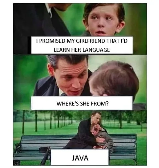 programming language meme