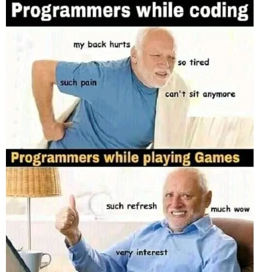 programming meme