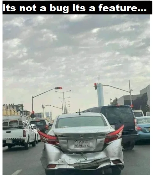 computer bug meme