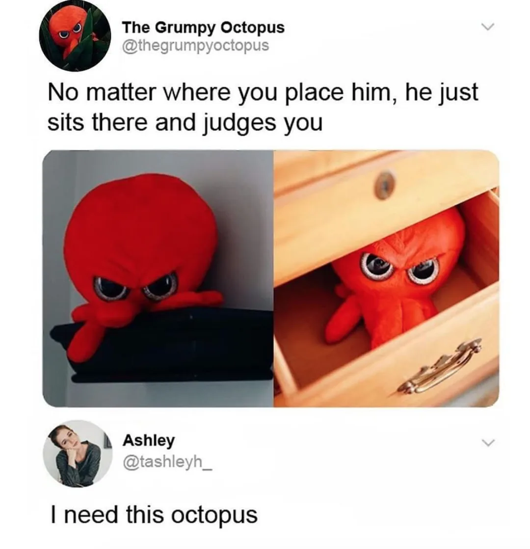 octopus meme