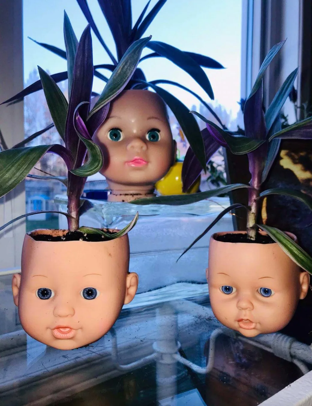 doll meme
