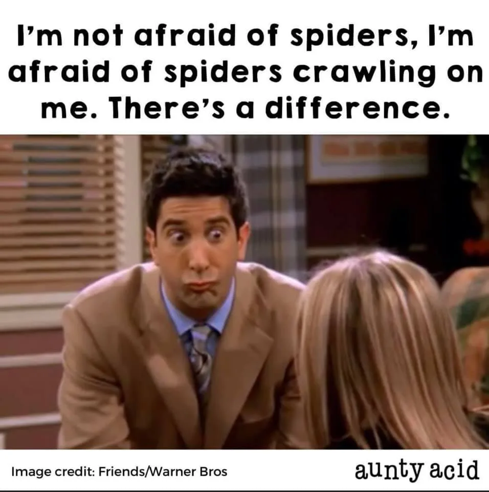 spider meme