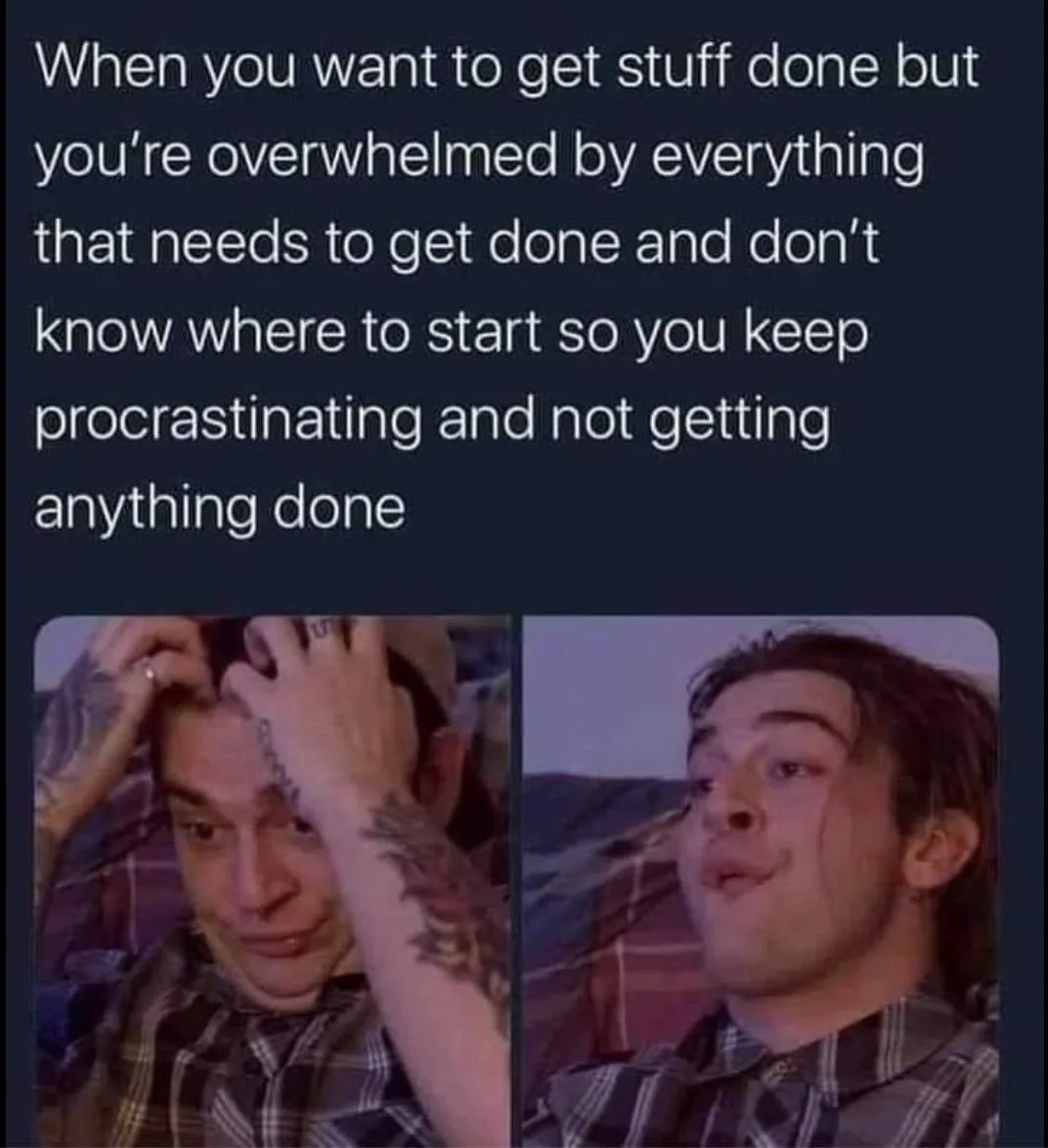 being overwhelmed meme
