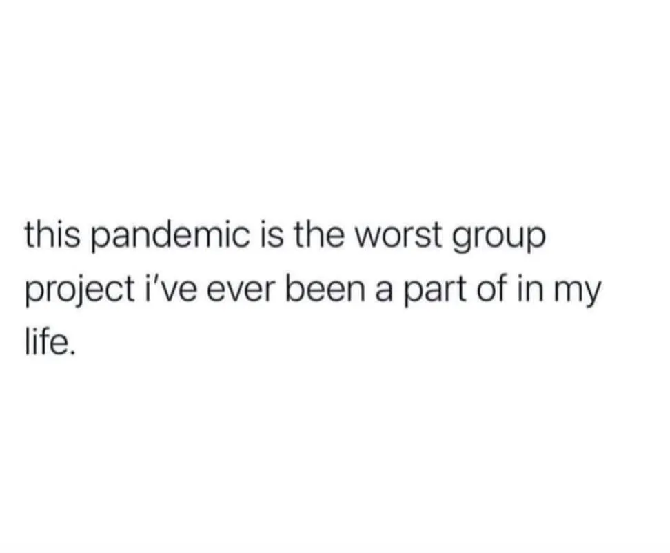 pandemic meme