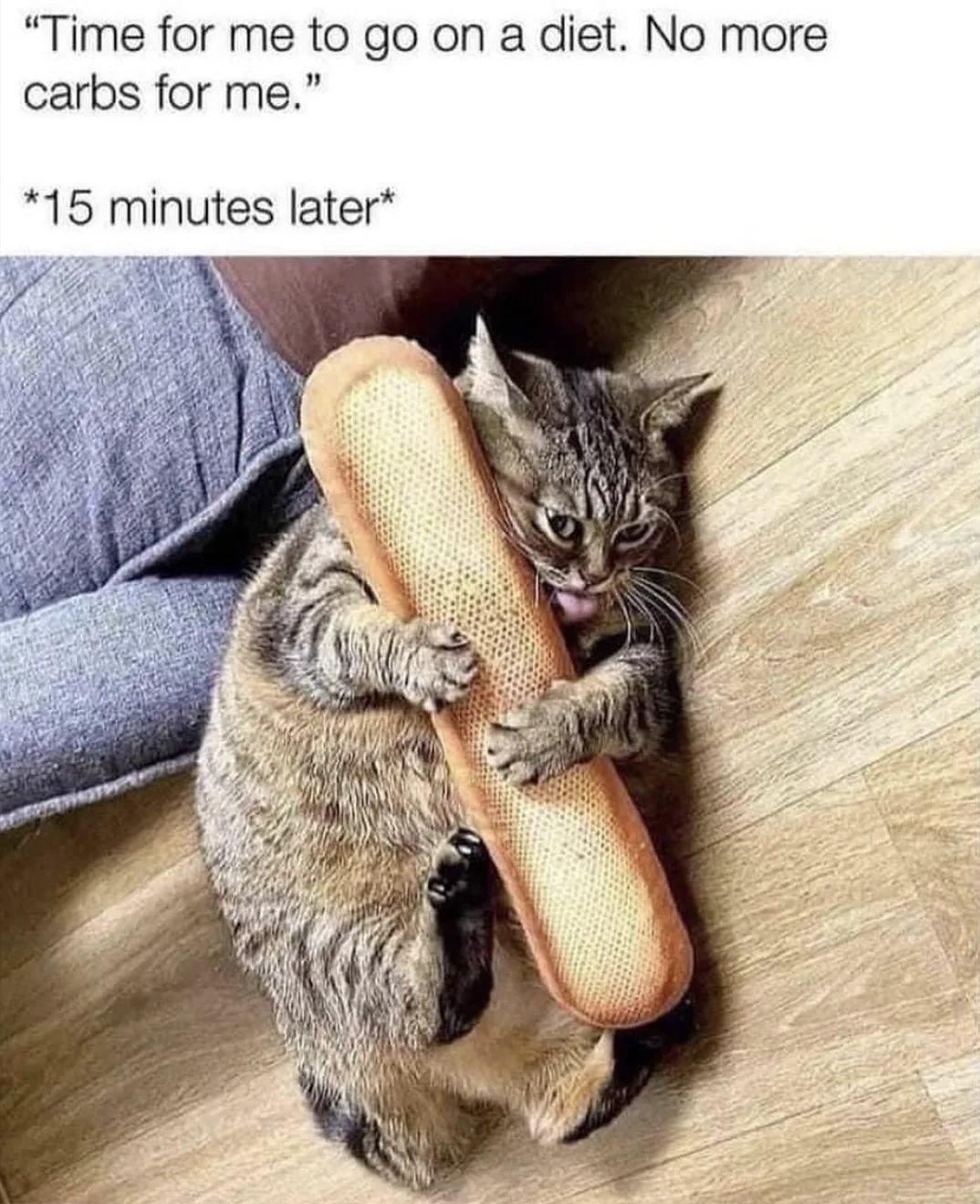 carbohydrate meme