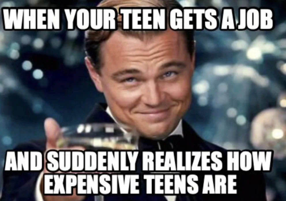expense meme