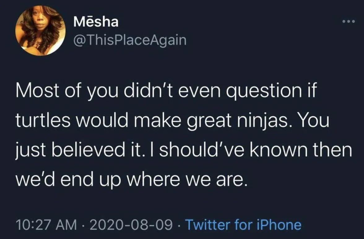 Teenage Mutant Ninja Turtle meme