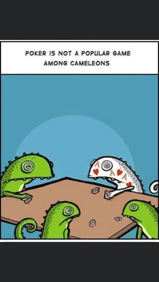 poker meme