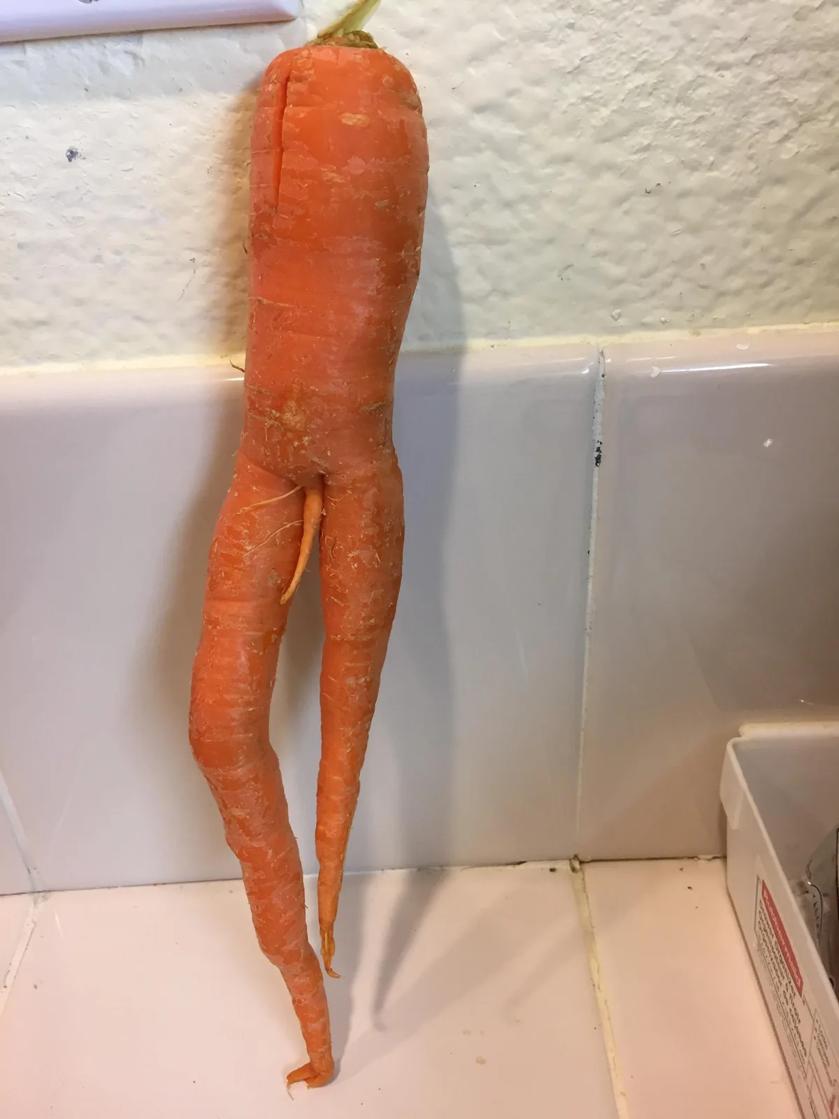 Things That Look Like Other Things meme