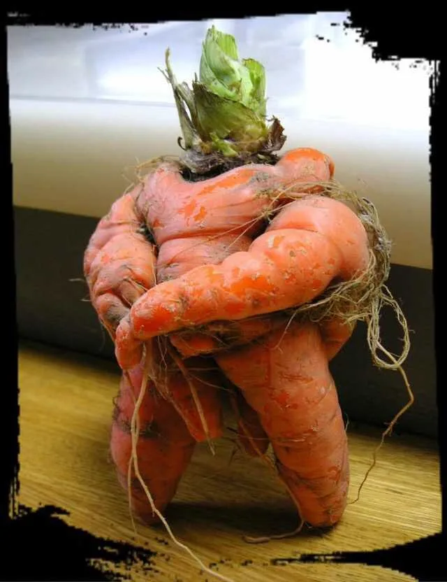 Things That Look Like Other Things meme