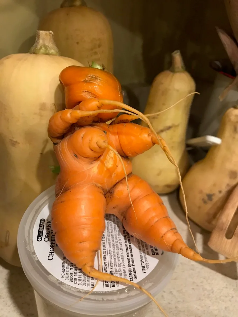 Things That Look Like Other Things meme