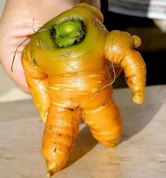 Things That Look Like Other Things meme