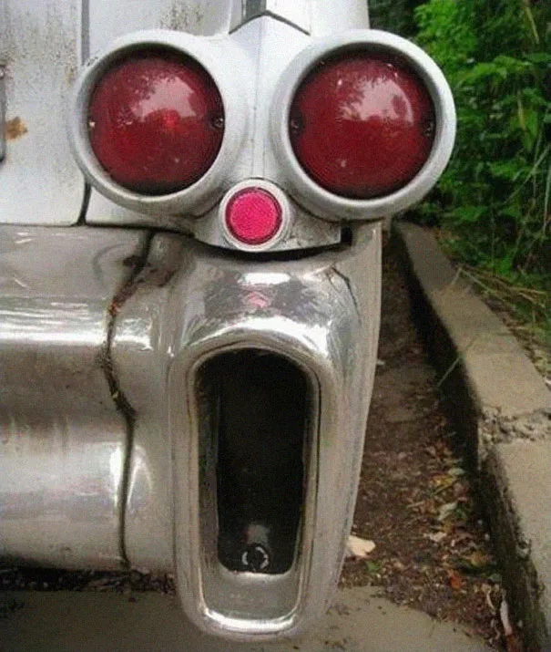 Things That Look Like Other Things meme