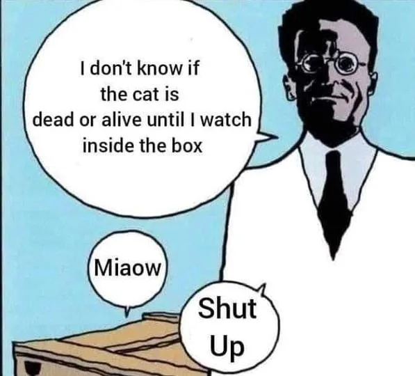 Schroedinger's cat meme