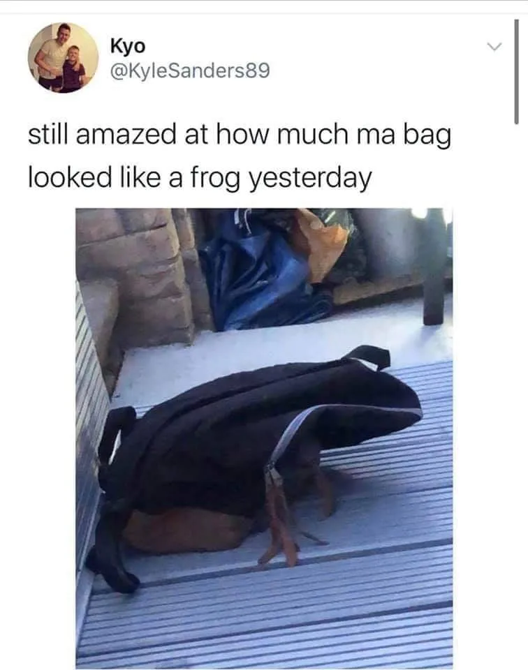 frog meme