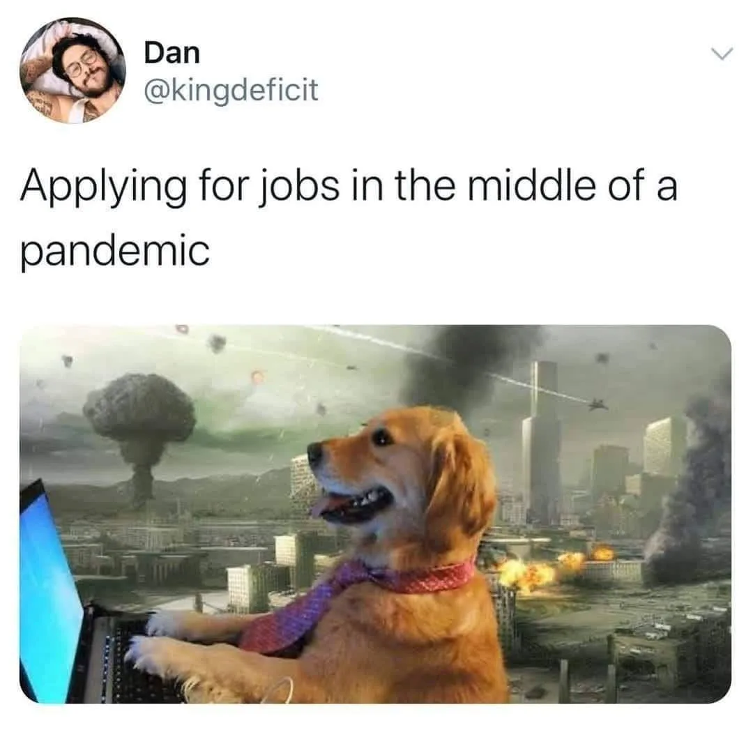 pandemic meme