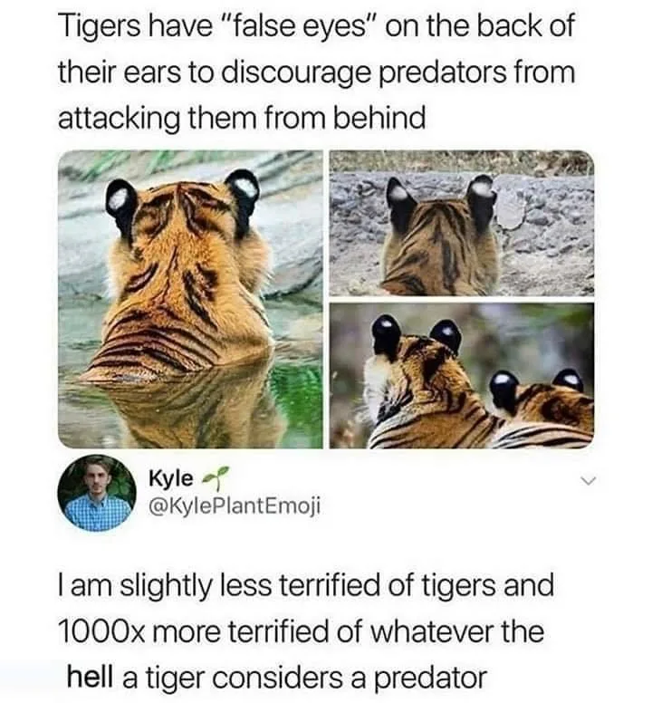 defense mechanism meme